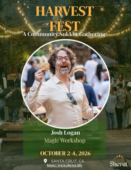 Josh Logan, Magic Workshop