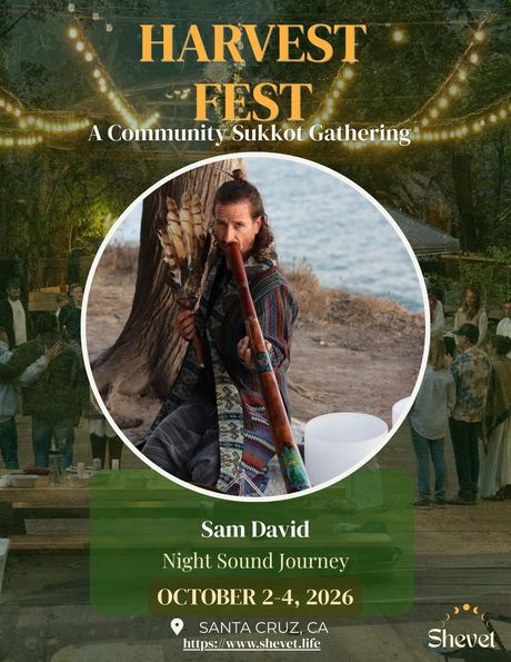 Sam David, Night Sound Journey