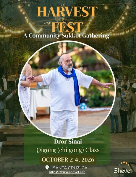 Dror Sinai, Qigong Class